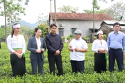 Nông dân Hà Nội thi đua xây dựng làng quê ngày càng  xanh, sạch, đẹp 