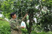 Huyện vùng cao Sơn La đẩy mạnh xúc tiến tiêu thụ nông sản