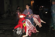 Hà Nội: Lợn "khoả thân" đi trên đường, nhiều nơi bán gà nguyên lông, cấm mãi không ăn thua