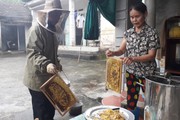 Thái Nguyên: Quanh năm vui vầy với bầy ong mật, vợ chồng già vẫn đủ ăn đủ tiêu