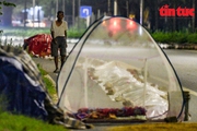 Người dân quây màn ngủ dưới lòng đường để 'canh' lúa, bất chấp nguy cơ tai nạn giao thông