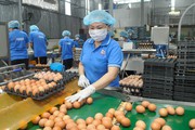 Giá trứng gia cầm bình ổn chính thức tăng thêm 2.000 đồng/vỉ 10 quả