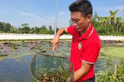 Cựu phóng viên ở Thanh Hóa thành công khi về làm nông dân với mô hình nuôi ốc nhồi đặc sản làm giàu