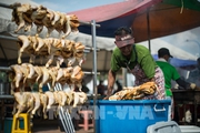 Lệnh cấm xuất khẩu thịt gà của Malaysia bắt đầu có hiệu lực