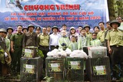 Lào Cai: Tái thả động vật hoang dã về tự nhiên sau cứu hộ