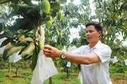 Tại sao Sơn La lại là "hiện tượng kinh tế nông nghiệp" của miền Bắc?