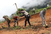 Điện Biên: Kiểm soát chặt chẽ việc chuyển đổi rừng, đất rừng