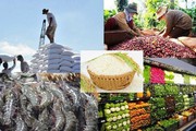 Nông sản Việt nhiều cơ hội tăng thị phần tại EU