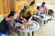 6 tháng đầu năm, Hội Nông dân tỉnh Nghệ An tổ chức nhiều hoạt động sôi nổi, hiệu quả