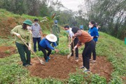 Hội nông dân Lào Cai: Phát huy vai trò xây dựng nông thôn mới