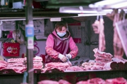 Giá thịt lợn tại Trung Quốc tăng bao nhiêu lần mà Việt Nam lo ngại vận chuyển lợn trái phép qua biên giới?