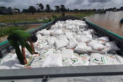 Đường lậu ảnh hưởng đến 100.000 nông dân, Hiệp hội Mía đường Việt Nam gửi đơn cầu cứu khẩn cấp