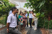 Khảo sát xây dựng thí điểm du lịch nông nghiệp, nông thôn tại huyện Đan Phượng