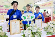 Lạng Sơn chuẩn bị tung ra thị trường 40.000 tấn na, giá trị trên 1.200 tỷ đồng