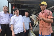 Phó Chủ tịch BCH T.Ư Hội Nông dân Việt Nam Phạm Tiến Nam thăm câu lạc bộ nông dân tỷ phú ở Cà Mau