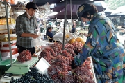 Vì sao trái cây Trung Quốc hiện diện nhiều tại Việt Nam? 