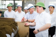 Làm việc tại loạt dự án nông, lâm nghiệp, Chủ tịch UBND tỉnh Nghệ An yêu cầu liên kết chặt với nông dân