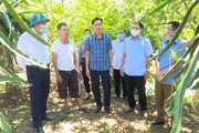 Phú Thọ là tỉnh duy nhất cả nước có 3 Nông dân Việt Nam xuất sắc năm 2022