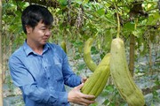 Một người Bắc Ninh "đãi" ra hàng ngàn đô la Mỹ từ thứ xưa nay cả làng toàn vứt đi