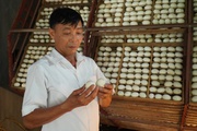 Nông dân sản xuất kinh doanh giỏi Bắc Giang: Nhiều hộ kiếm tiền tỷ mỗi năm