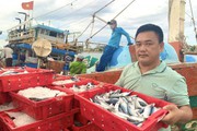 Nông dân Việt Nam xuất sắc 2022 đến từ Quảng Bình là người có biệt danh "Sói biển" săn cá Biển Đông
