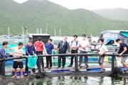 Nuôi toàn đặc sản tôm hùm, cá mú, nông dân Khánh Hòa thu lãi khủng