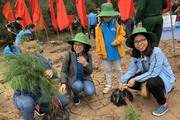 Người phụ nữ "nương tựa" biển khơi tạo thu nhập nhiều tỷ trong năm