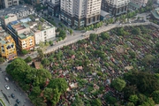 Hàng loạt khu đất trường học, cây xanh ở Hà Nội bị quy hoạch vào nghĩa trang