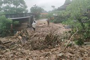 Mưa lớn tàn phá bản làng miền núi xứ Nghệ, nhiều nhà dân bị sập