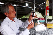 Ông nông dân vùng biên Long An nuôi “thú cưng của chị Hằng” vươn lên hộ giàu