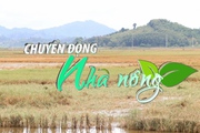 Chuyển động Nhà nông 7/9: Hơn 2.000ha lúa ngập ở Đắk Lắk mất trắng do mưa lũ