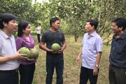 Chàng nông dân miền núi Khánh Hòa và hành trình trở thành nông dân sản xuất giỏi cho thu nhập tiền tỷ