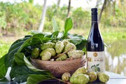 Từng bị "tai tiếng", chặt bỏ, ai ngờ nay có một nông dân Cà Mau lại đổi đời nhờ trồng cây nhàu