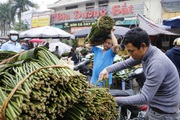 Chợ lá dong gói bánh chưng lâu đời nhất Hà Nội nhộn nhịp trước Tết