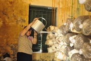 Nữ Chủ tịch Hội Nông dân cơ sở ở Quảng Ninh “nói dân nghe, làm dân theo”