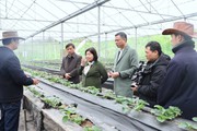 Phó Chủ tịch BCH TƯ Hội NDVN Cao Xuân Thu Vân thăm, làm việc tại tỉnh Sơn La