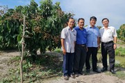 Ước vọng đầu Xuân Quý Mão của Nông dân Việt Nam xuất sắc, nông dân sản xuất, kinh doanh giỏi
