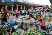 Hàng nghìn tấn rau củ, hoa quả đổ về các chợ đầu mối xuyên Tết
