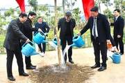 Lễ ra quân trồng cây Mừng Đảng, Mừng xuân Quý Mão 