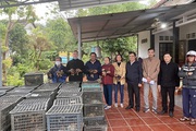Hội Nông dân Thừa Thiên Huế hỗ trợ ốc giống và gà giống giúp hội viên phát triển kinh tế