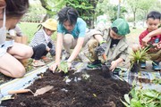 Cùng Hoa hậu H'Hen Niê lan toả tinh thần "Ngày hội yêu cây"