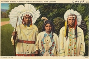 Người Mỹ tham lam và tấn thảm kịch của người da đỏ Cherokee