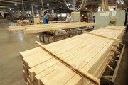 Ngành gỗ đẩy mạnh xúc tiến thương mại, tìm kiếm khách hàng