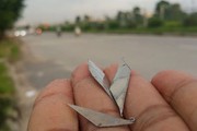 Khi nào "đinh tặc" bị xử lý hình sự?