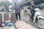 Phó Chủ tịch xã Liên Châu: Thông tin "giải cứu trứng gà" không chính xác, ảnh hưởng đến thương hiệu trứng Châu Mai