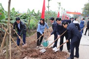 Hội Nông dân Nam Định phát động Tết trồng cây đời đời nhớ ơn Bác Hồ 
