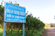 Khởi nghiệp khi đã già, một ông đại tá ở Bình Dương thu lãi 3 tỷ đồng/năm, ai cũng nể phục