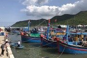 Triển khai 180 ngày hành động chống khai thác IUU, sớm gỡ "thẻ vàng" trong năm 2023