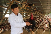 Ôm đống nghề, một nông dân Hòa Bình thành tỷ phú, nhận Bằng khen của Thủ tướng Chính phủ