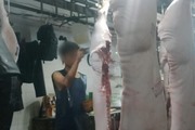 Phó Chủ tịch UBND tỉnh Long An chỉ đạo kiểm tra, xử lý nghiêm cơ sở giết mổ động vật nếu có vi phạm